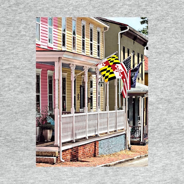 Annapolis MD - Flags Along East Street by SusanSavad